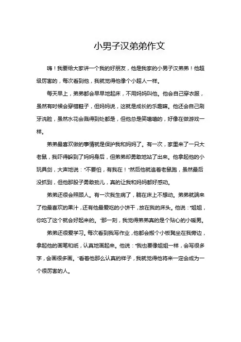 小男子汉弟弟作文
