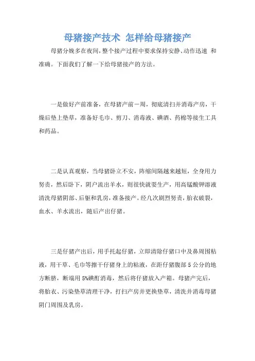 母猪接产技术 怎样给母猪接产