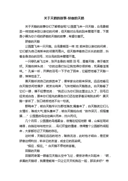 关于天鹅的故事-骄傲的天鹅