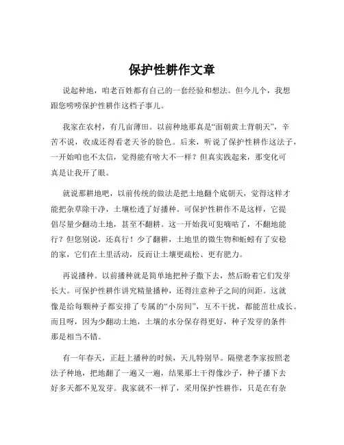 保护性耕作文章