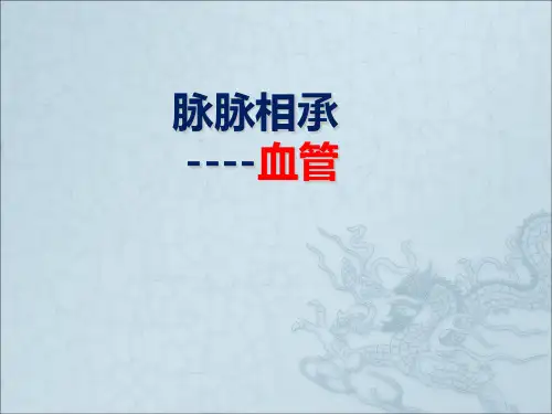 动脉静脉毛细血管的组织结构.ppt