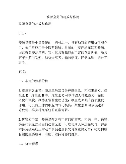婺源皇菊的功效与作用