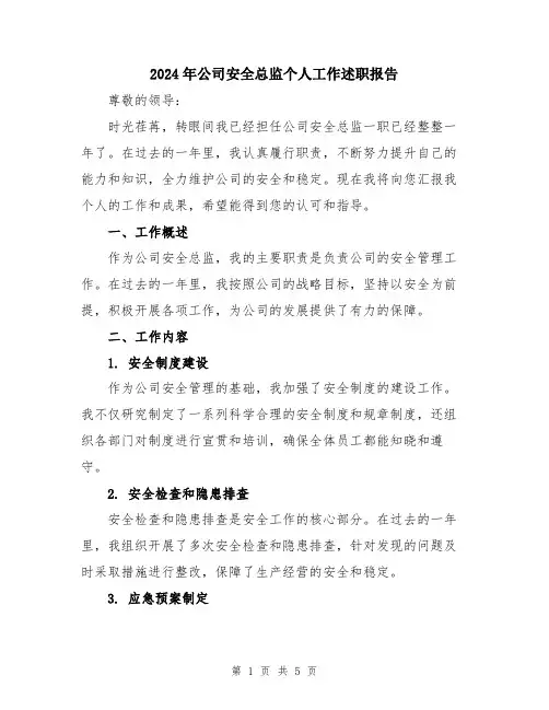 2024年公司安全总监个人工作述职报告