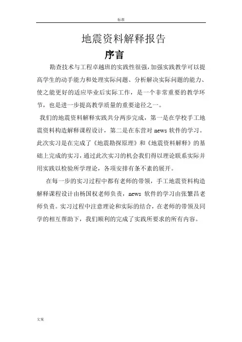 地震资料解释报告材料
