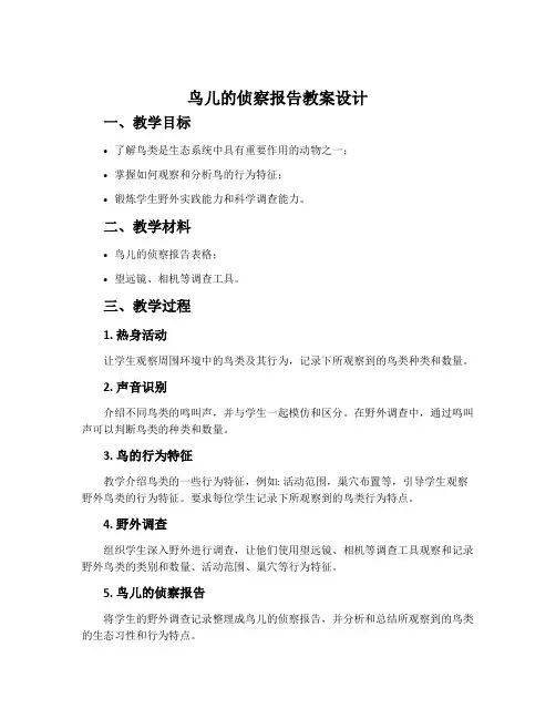 《鸟儿的侦察报告》教案设计