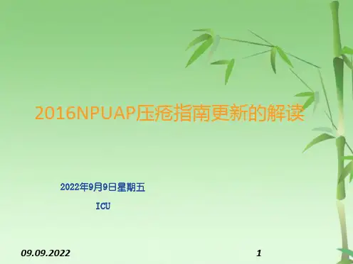 NPUAP压疮指南更新的解读(共16张PPT)