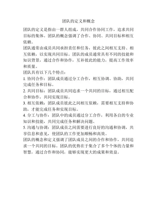 团队的定义和概念