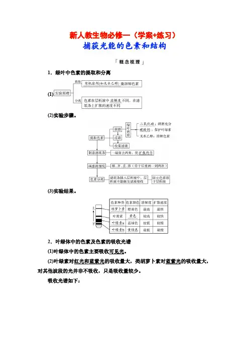 新人教生物必修一(学案+练习)捕获光能的色素和结构