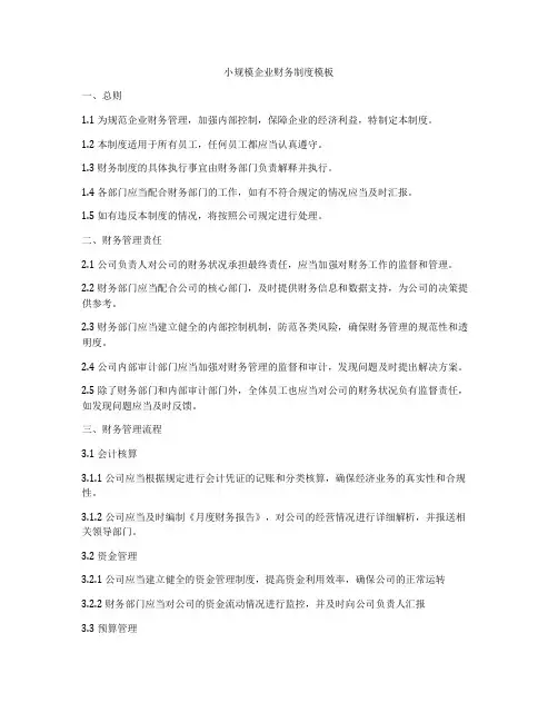 小规模企业财务制度模板