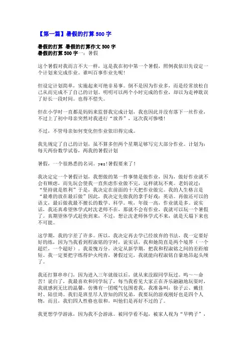 暑假的打算500字