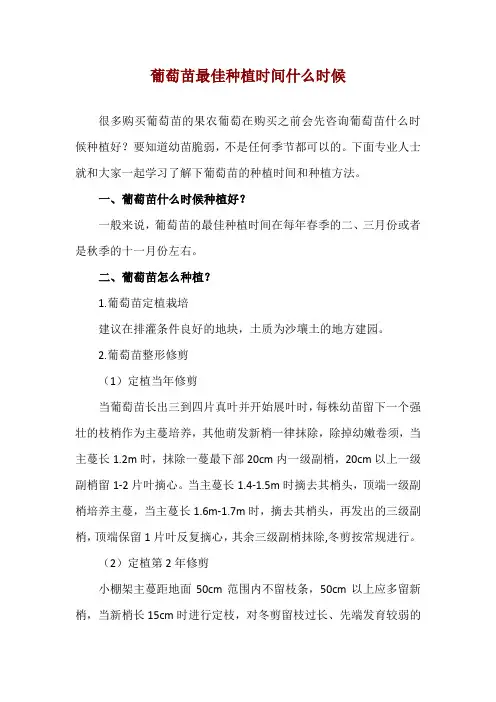 葡萄苗最佳种植时间什么时候