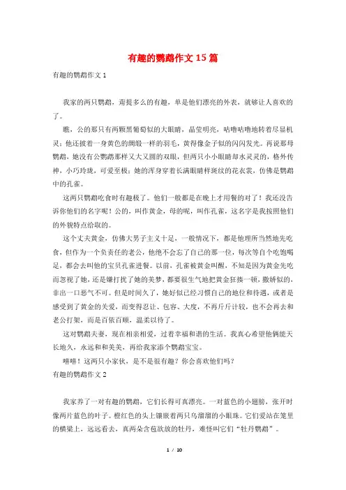 有趣的鹦鹉作文15篇