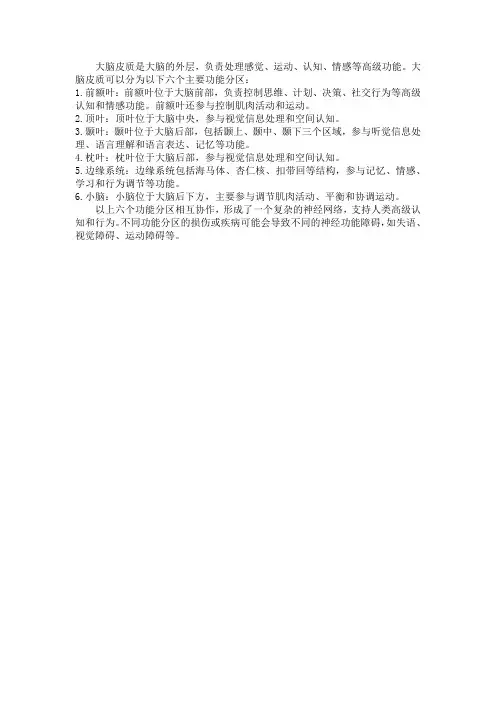 大脑皮质的功能分区