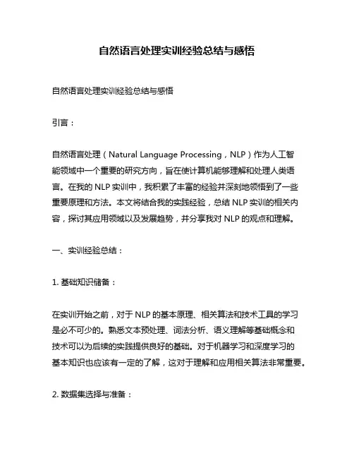 自然语言处理实训经验总结与感悟