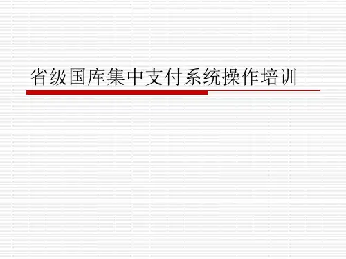 省级国库集中支付系统操作培训