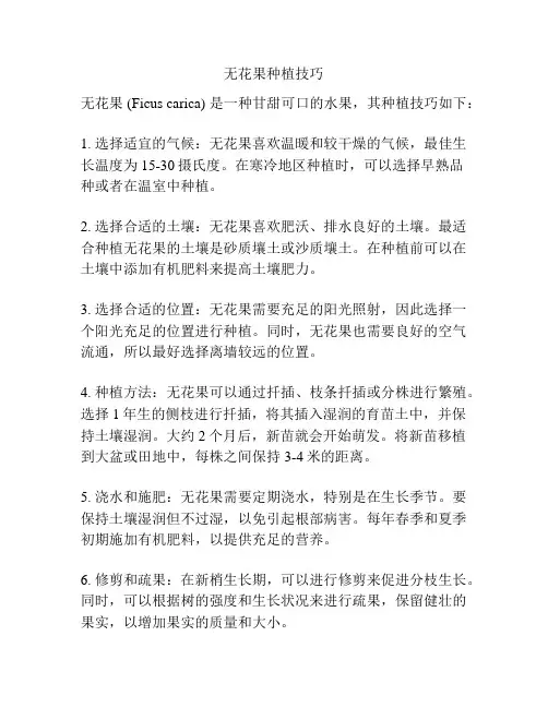 无花果种植技巧