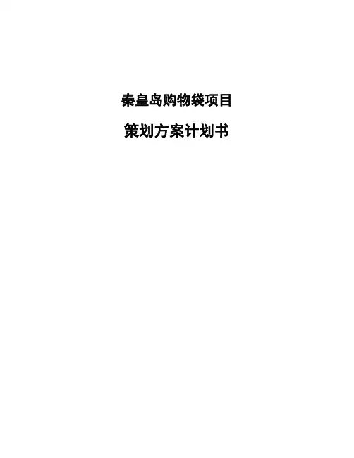 秦皇岛购物袋项目策划方案计划书