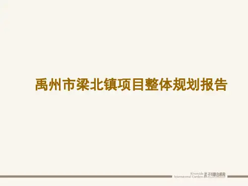 禹州市梁北镇项目整体规划报告112p