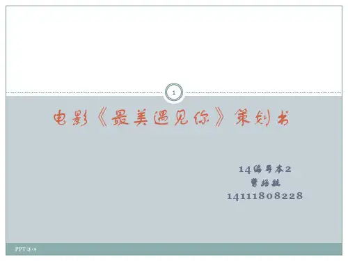 电影策划案  ppt课件