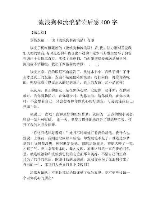 流浪狗和流浪猫读后感400字