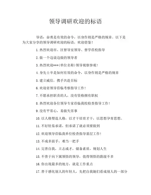 领导调研欢迎的标语