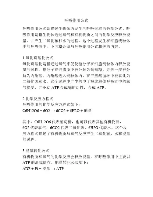 呼吸作用公式 