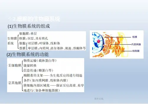 【学习方案】2020高考生物二轮复习第2章细胞的结构和功能课件_2_16-20