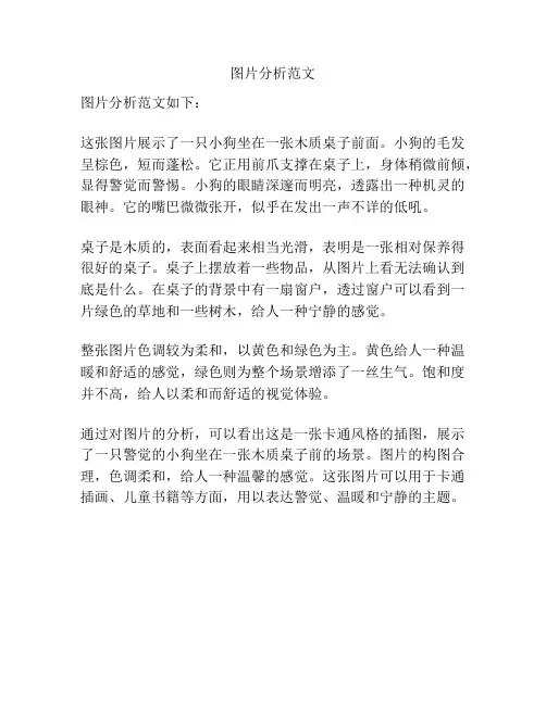 图片分析范文