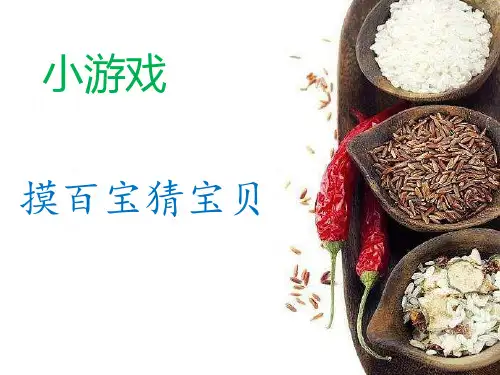 人教版小学美术3五谷作画课件(20张幻灯片)
