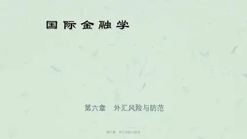 第六章：外汇风险与防范课件