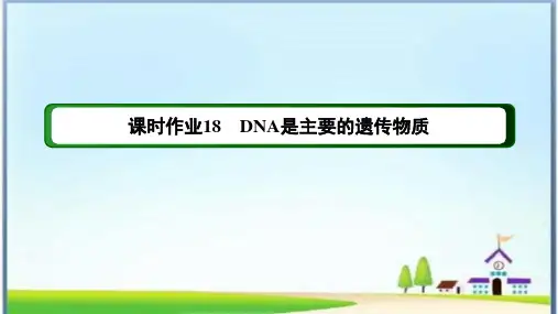 课时作业18 DNA是主要的遗传物质(含答案详解)
