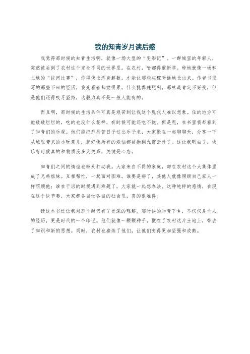 我的知青岁月读后感