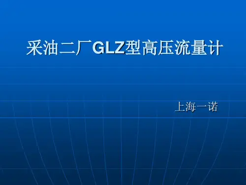 高压流量计课件(上海一诺)