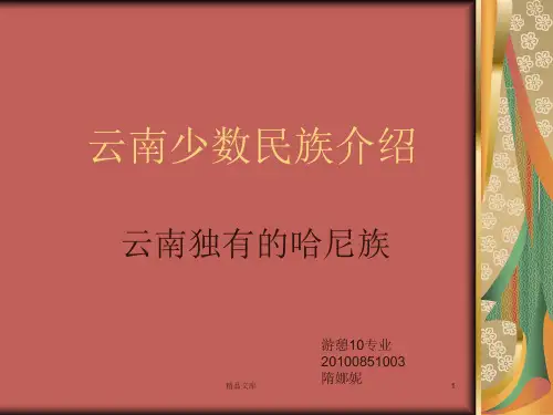 全面云南美丽的哈尼族.ppt