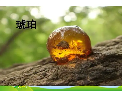 人教部编版四年级下册语文课件 - 5《琥珀》(共16张PPT)