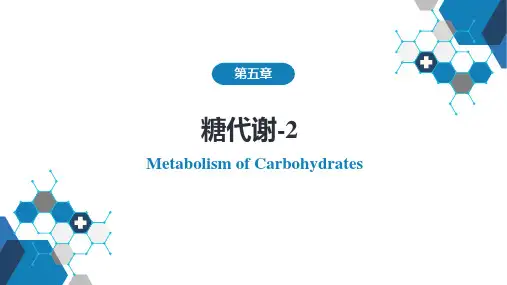 人民卫生出版社《生物化学》第五章  糖代谢第5-8节