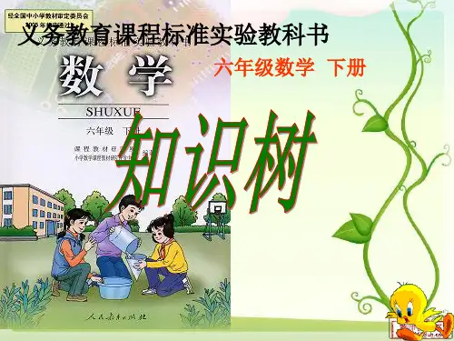 六年级下册数学知识树概要