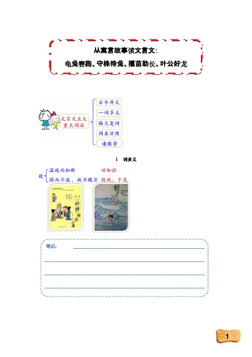 六年级下册语文讲义小升初文言文阅读讲练：龟兔赛跑、守株待兔、揠苗助长、叶公好龙(含答案 )人教部编版