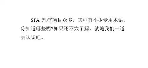 SPA专业术语知多少