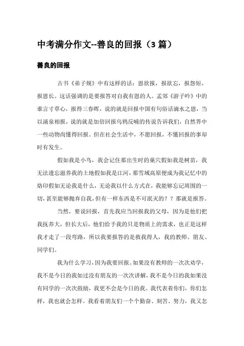 中考满分作文--善良的回报(3篇)