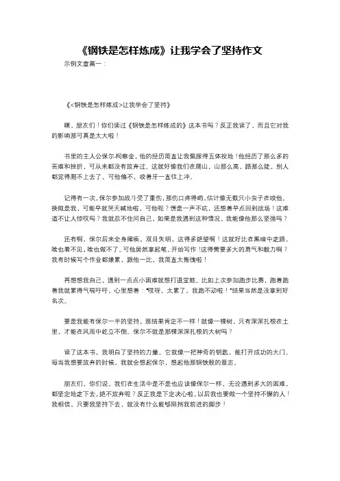 《钢铁是怎样炼成》让我学会了坚持作文