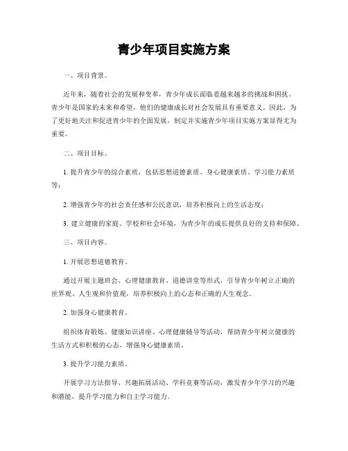 青少年项目实施方案