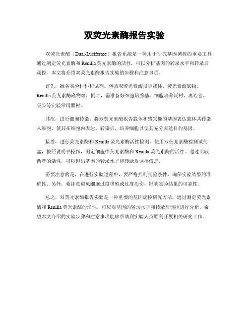 双荧光素酶报告实验