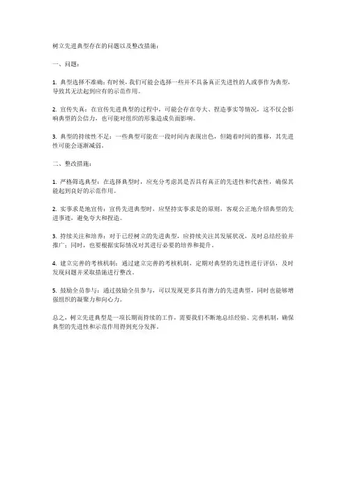 树立先进典型 存在问题整改措施
