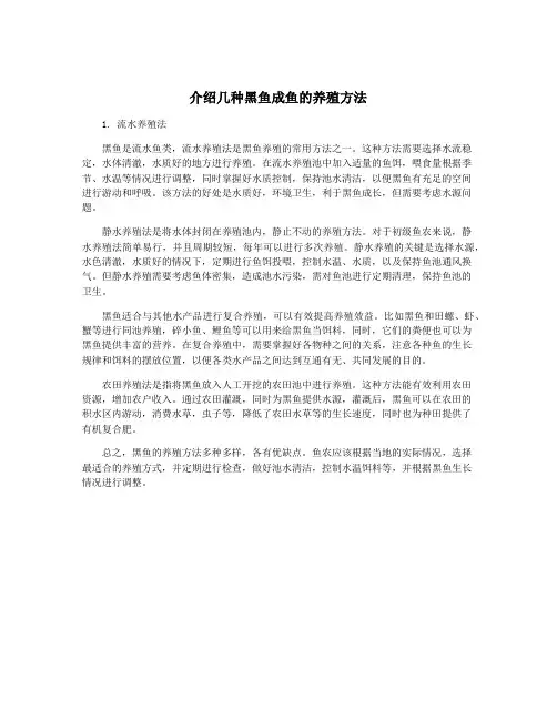 介绍几种黑鱼成鱼的养殖方法