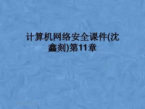 计算机网络安全课件(沈鑫剡)第11章