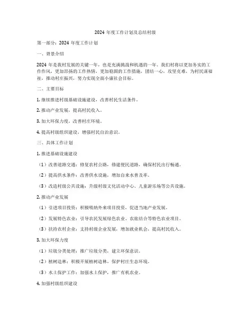 2024年度工作计划及总结村级