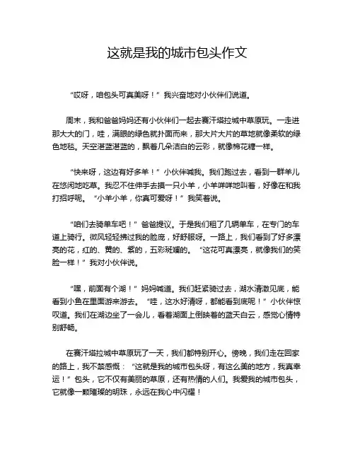 这就是我的城市包头作文