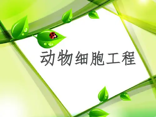 动物细胞工程