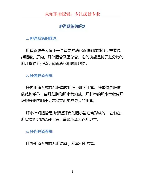 胆道系统的解剖